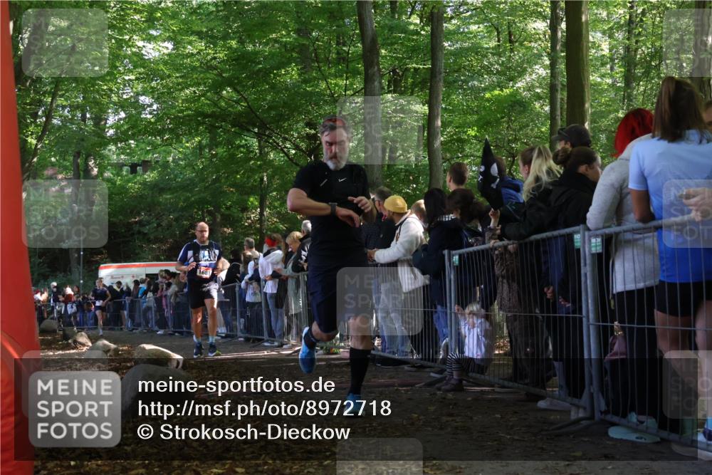 28.09.2025 - 33. Volkslauf durch das schöne Alstertal Strokosch-Dieckow http://msf.ph/oto/8972718 28.09.2025 12:03:50 Ziel 1038, 1681, 2248, 2605, 2645 meine-sportfotos.de