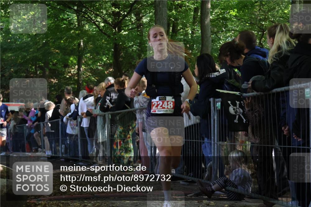 28.09.2025 - 33. Volkslauf durch das schöne Alstertal Strokosch-Dieckow http://msf.ph/oto/8972732 28.09.2025 12:03:57 Ziel 1655, 2248, 2347 meine-sportfotos.de