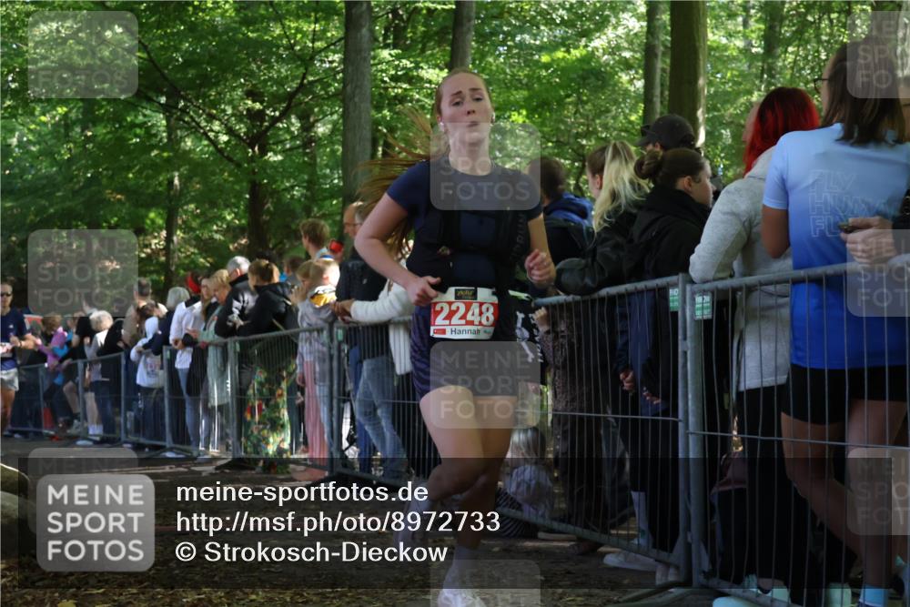 28.09.2025 - 33. Volkslauf durch das schöne Alstertal Strokosch-Dieckow http://msf.ph/oto/8972733 28.09.2025 12:03:58 Ziel 1655, 2248, 2347 meine-sportfotos.de