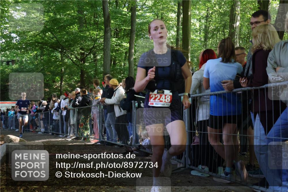 28.09.2025 - 33. Volkslauf durch das schöne Alstertal Strokosch-Dieckow http://msf.ph/oto/8972734 28.09.2025 12:03:58 Ziel 1655, 2248, 2347 meine-sportfotos.de