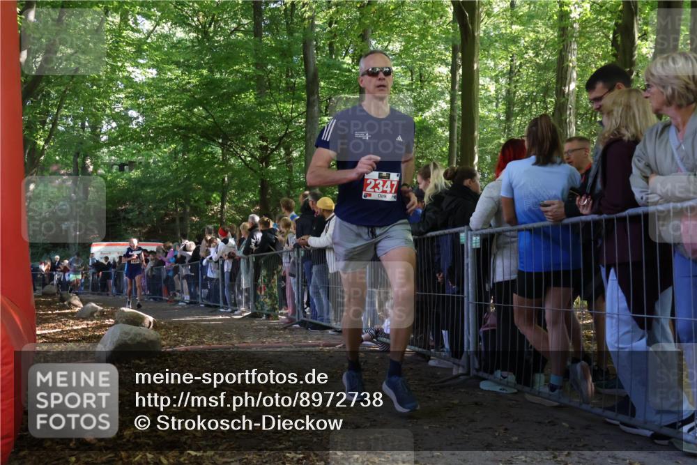 28.09.2025 - 33. Volkslauf durch das schöne Alstertal Strokosch-Dieckow http://msf.ph/oto/8972738 28.09.2025 12:04:02 Ziel 1655, 1675, 2347 meine-sportfotos.de