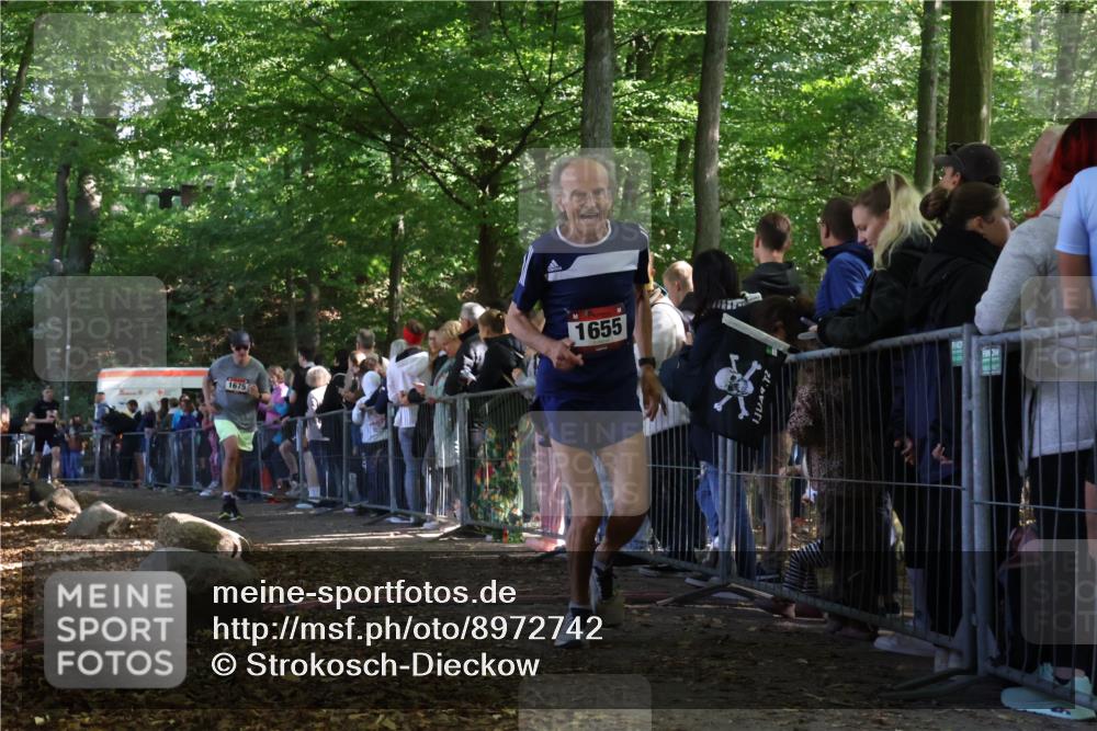 28.09.2025 - 33. Volkslauf durch das schöne Alstertal Strokosch-Dieckow http://msf.ph/oto/8972742 28.09.2025 12:04:06 Ziel 1655, 1675, 2444 meine-sportfotos.de