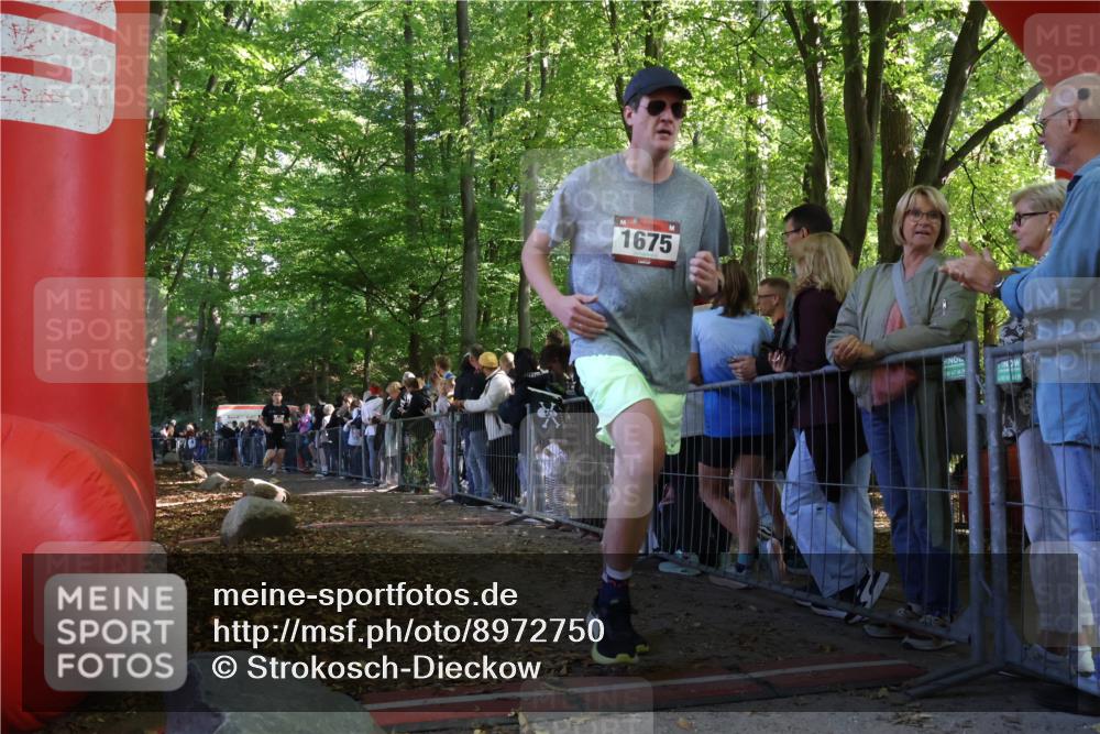 28.09.2025 - 33. Volkslauf durch das schöne Alstertal Strokosch-Dieckow http://msf.ph/oto/8972750 28.09.2025 12:04:11 Ziel 1675, 2444 meine-sportfotos.de
