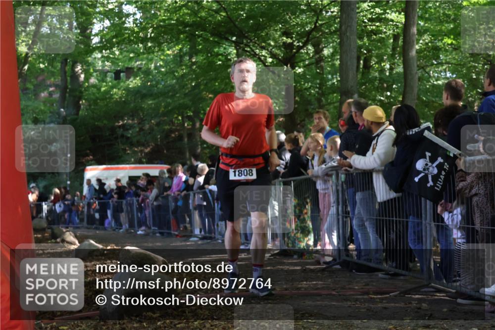 28.09.2025 - 33. Volkslauf durch das schöne Alstertal Strokosch-Dieckow http://msf.ph/oto/8972764 28.09.2025 12:04:35 Ziel 1808 meine-sportfotos.de