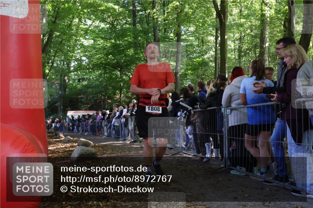 28.09.2025 - 33. Volkslauf durch das schöne Alstertal Strokosch-Dieckow http://msf.ph/oto/8972767 28.09.2025 12:04:37 Ziel 1808 meine-sportfotos.de