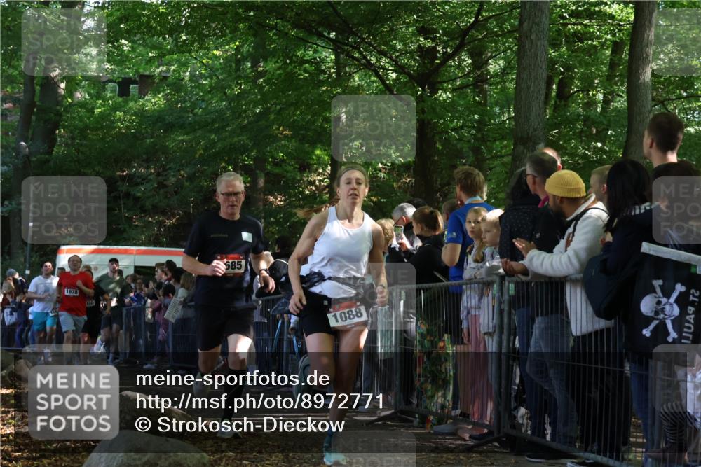 28.09.2025 - 33. Volkslauf durch das schöne Alstertal Strokosch-Dieckow http://msf.ph/oto/8972771 28.09.2025 12:04:56 Ziel 1030, 1088, 1667, 1678, 1685, 2459, 2552 meine-sportfotos.de