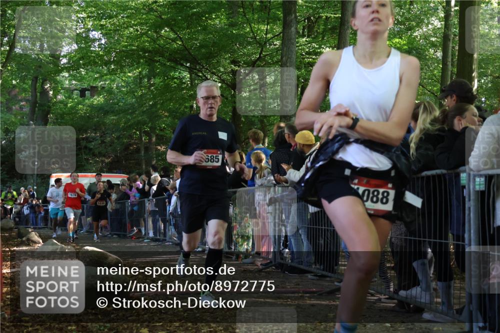 28.09.2025 - 33. Volkslauf durch das schöne Alstertal Strokosch-Dieckow http://msf.ph/oto/8972775 28.09.2025 12:04:57 Ziel 1030, 1088, 1667, 1678, 1685, 2459, 2552 meine-sportfotos.de