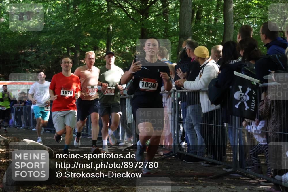 28.09.2025 - 33. Volkslauf durch das schöne Alstertal Strokosch-Dieckow http://msf.ph/oto/8972780 28.09.2025 12:05:01 Ziel 1030, 1034, 1658, 1667, 1678, 2459, 2552 meine-sportfotos.de