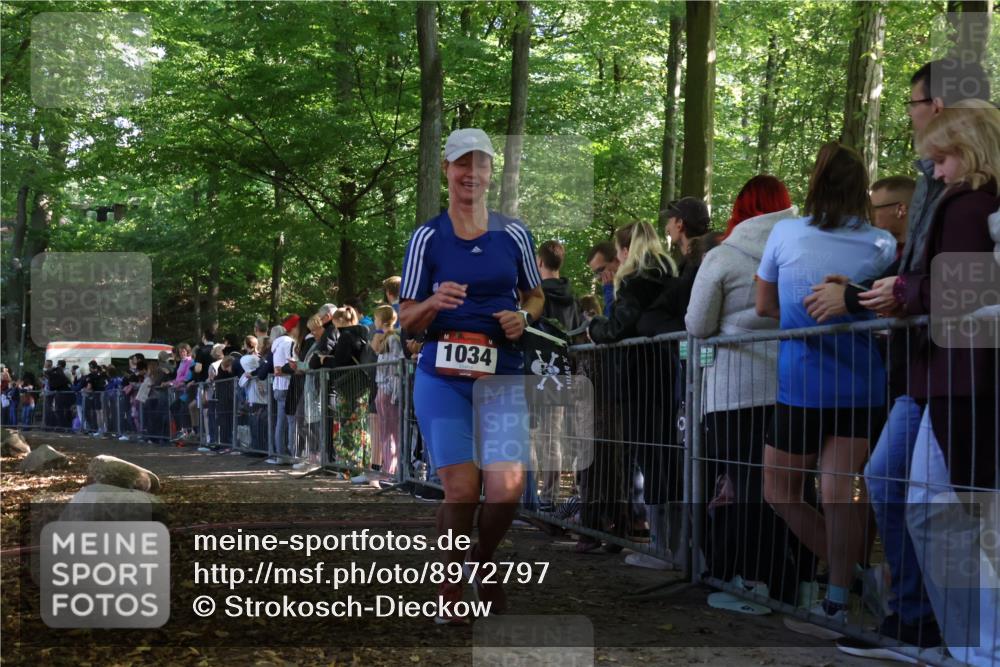 28.09.2025 - 33. Volkslauf durch das schöne Alstertal Strokosch-Dieckow http://msf.ph/oto/8972797 28.09.2025 12:05:11 Ziel 1034 meine-sportfotos.de