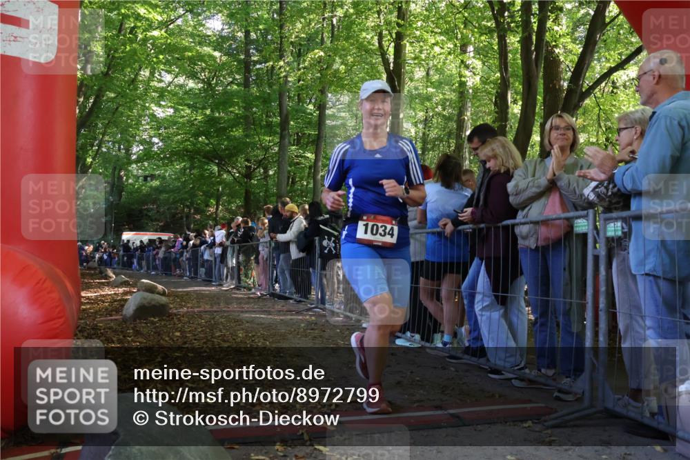 28.09.2025 - 33. Volkslauf durch das schöne Alstertal Strokosch-Dieckow http://msf.ph/oto/8972799 28.09.2025 12:05:11 Ziel 1034 meine-sportfotos.de