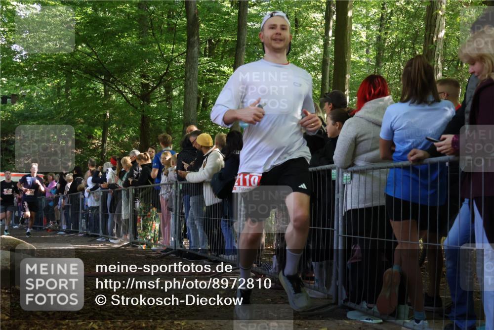 28.09.2025 - 33. Volkslauf durch das schöne Alstertal Strokosch-Dieckow http://msf.ph/oto/8972810 28.09.2025 12:05:27 Ziel 1688, 2109, 2110, 2385, 2622 meine-sportfotos.de