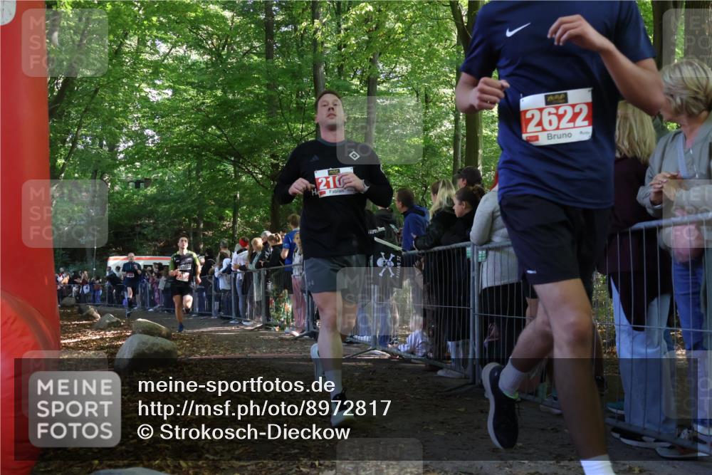 28.09.2025 - 33. Volkslauf durch das schöne Alstertal Strokosch-Dieckow http://msf.ph/oto/8972817 28.09.2025 12:05:31 Ziel 1688, 2109, 2385, 2622 meine-sportfotos.de