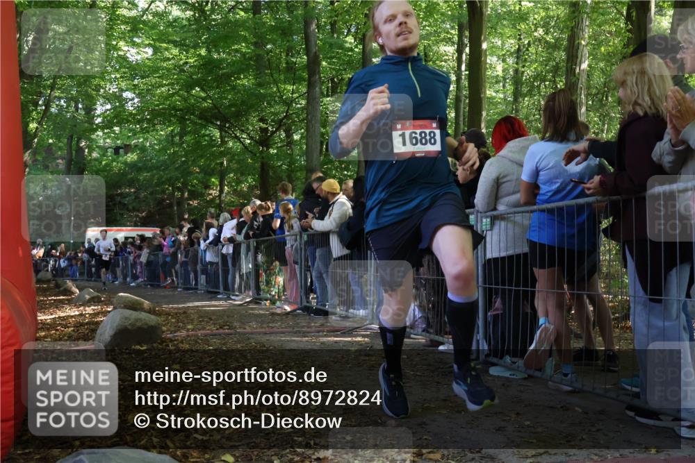 28.09.2025 - 33. Volkslauf durch das schöne Alstertal Strokosch-Dieckow http://msf.ph/oto/8972824 28.09.2025 12:05:35 Ziel 1688, 2187 meine-sportfotos.de