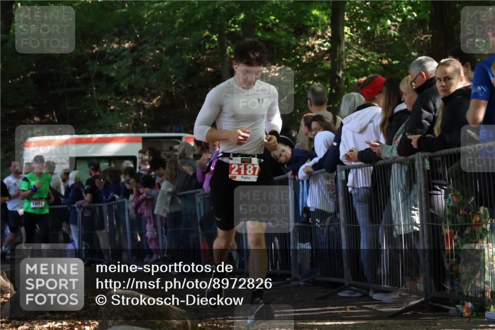 28.09.2025 - 33. Volkslauf durch das schöne Alstertal Strokosch-Dieckow http://msf.ph/oto/8972826 28.09.2025 12:05:39 Ziel 1023, 1691, 2187, 2617 meine-sportfotos.de