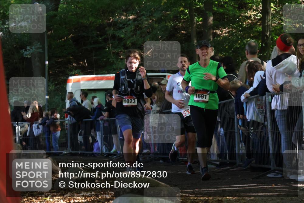 28.09.2025 - 33. Volkslauf durch das schöne Alstertal Strokosch-Dieckow http://msf.ph/oto/8972830 28.09.2025 12:05:44 Ziel 1023, 1691, 2118, 2565, 2617 meine-sportfotos.de