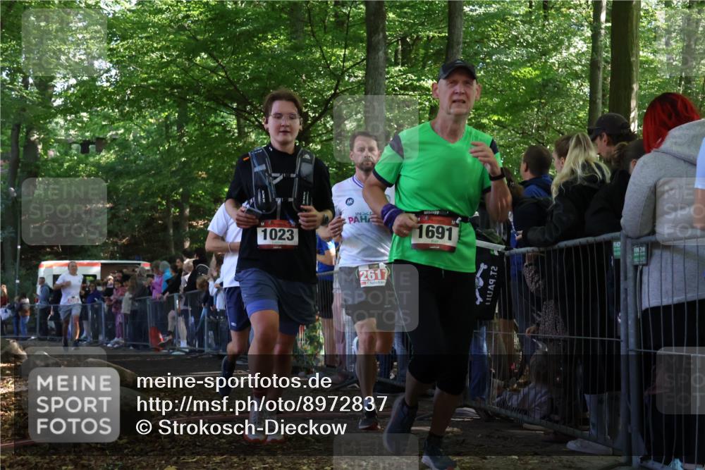 28.09.2025 - 33. Volkslauf durch das schöne Alstertal Strokosch-Dieckow http://msf.ph/oto/8972837 28.09.2025 12:05:48 Ziel 1023, 1691, 2118, 2565, 2617 meine-sportfotos.de