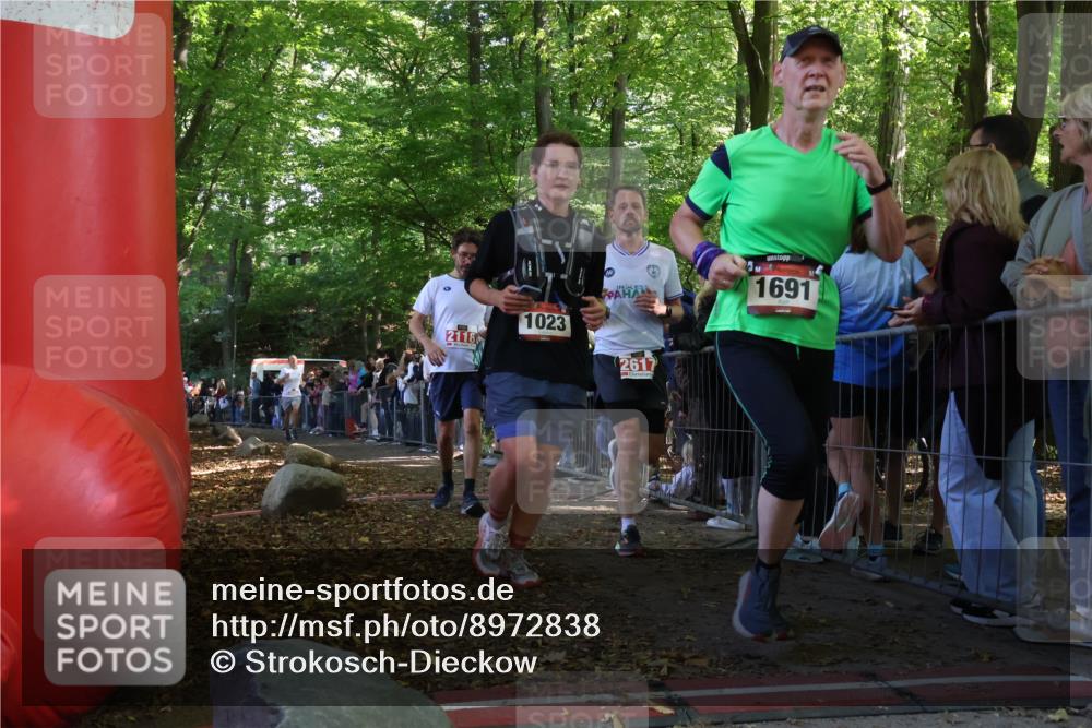 28.09.2025 - 33. Volkslauf durch das schöne Alstertal Strokosch-Dieckow http://msf.ph/oto/8972838 28.09.2025 12:05:49 Ziel 1023, 2118, 2565, 2617 meine-sportfotos.de