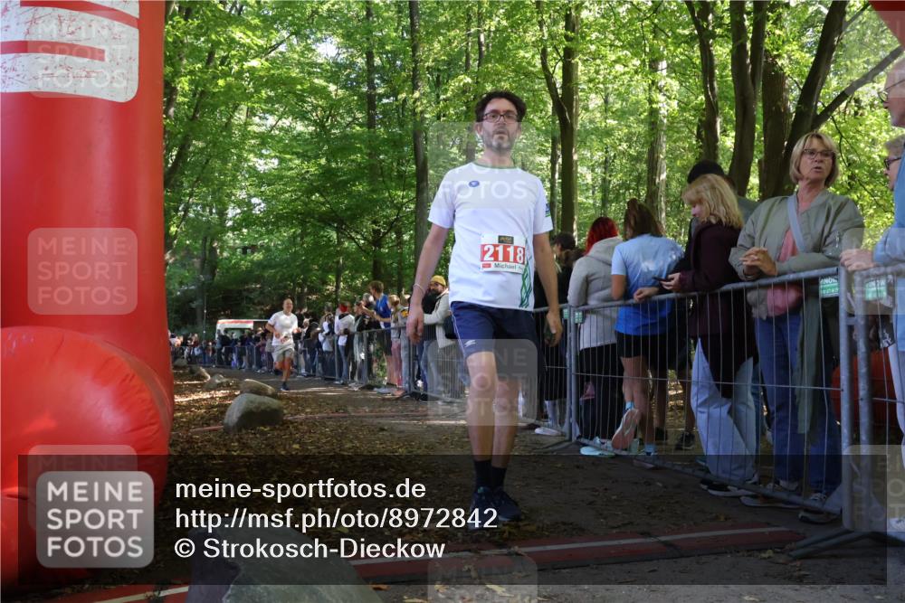 28.09.2025 - 33. Volkslauf durch das schöne Alstertal Strokosch-Dieckow http://msf.ph/oto/8972842 28.09.2025 12:05:51 Ziel 2565 meine-sportfotos.de