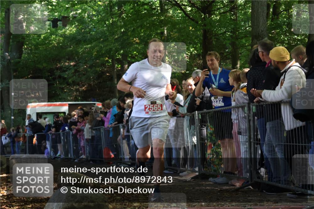 28.09.2025 - 33. Volkslauf durch das schöne Alstertal Strokosch-Dieckow http://msf.ph/oto/8972843 28.09.2025 12:05:52 Ziel 2565 meine-sportfotos.de