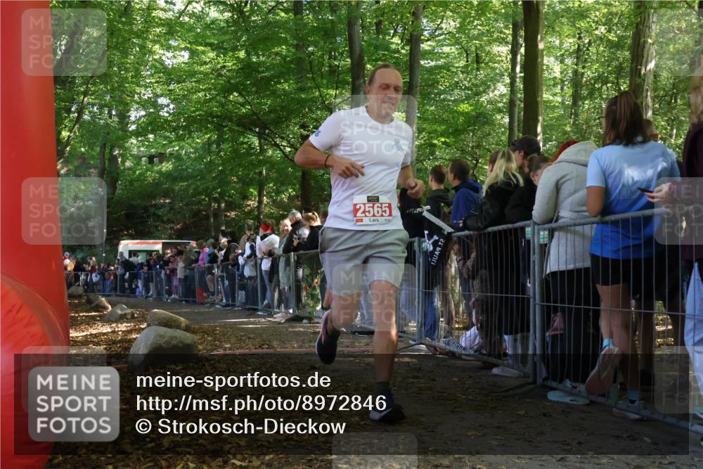 28.09.2025 - 33. Volkslauf durch das schöne Alstertal Strokosch-Dieckow http://msf.ph/oto/8972846 28.09.2025 12:05:54 Ziel 2565 meine-sportfotos.de
