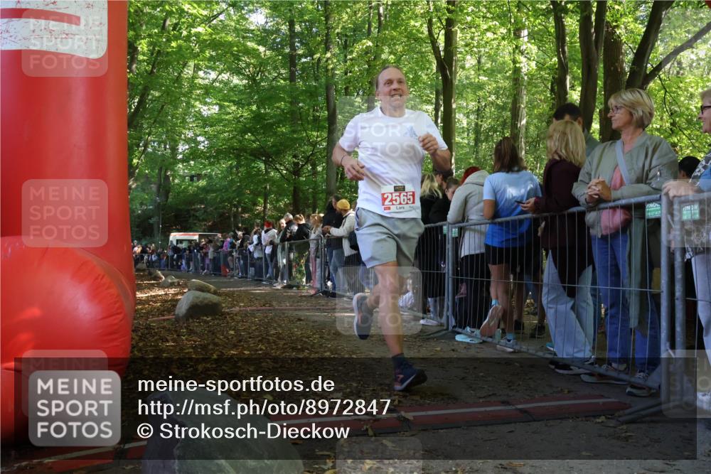 28.09.2025 - 33. Volkslauf durch das schöne Alstertal Strokosch-Dieckow http://msf.ph/oto/8972847 28.09.2025 12:05:54 Ziel 2565 meine-sportfotos.de