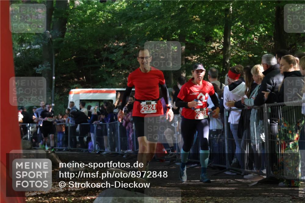 28.09.2025 - 33. Volkslauf durch das schöne Alstertal Strokosch-Dieckow http://msf.ph/oto/8972848 28.09.2025 12:06:02 Ziel 1650, 2014, 2524, 2633 meine-sportfotos.de