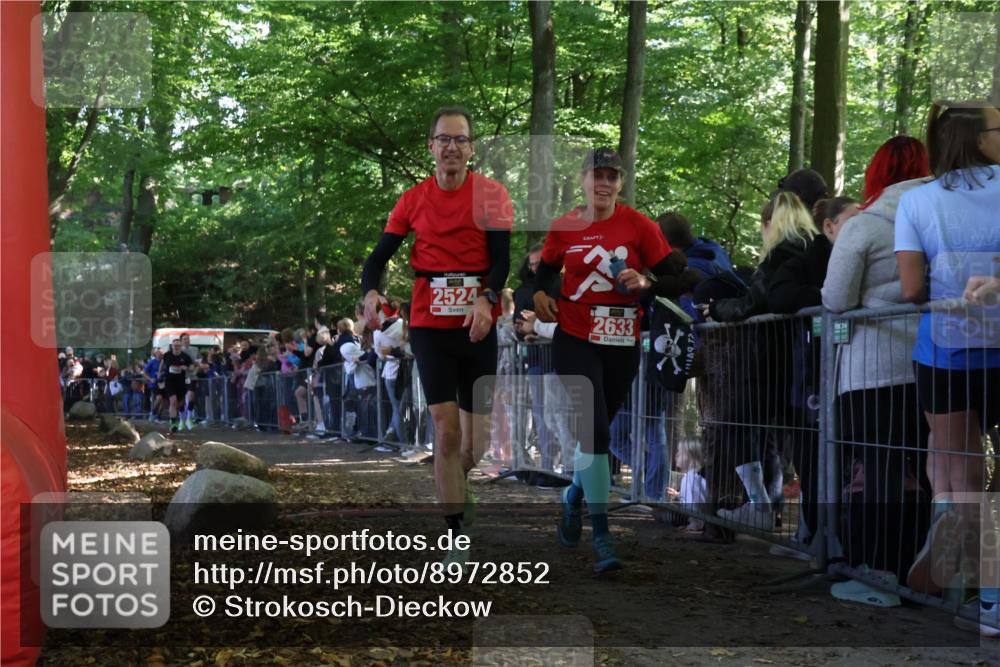 28.09.2025 - 33. Volkslauf durch das schöne Alstertal Strokosch-Dieckow http://msf.ph/oto/8972852 28.09.2025 12:06:05 Ziel 1650, 2014, 2041, 2524, 2633 meine-sportfotos.de