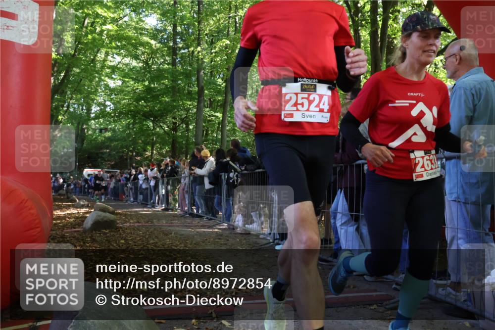 28.09.2025 - 33. Volkslauf durch das schöne Alstertal Strokosch-Dieckow http://msf.ph/oto/8972854 28.09.2025 12:06:06 Ziel 1650, 1711, 2014, 2041, 2633 meine-sportfotos.de