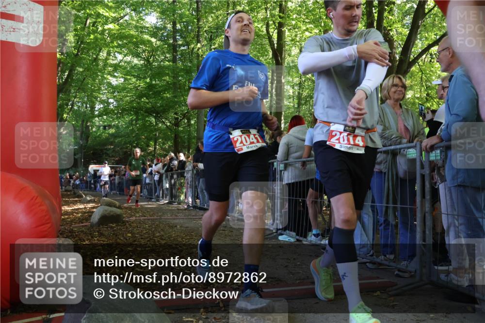 28.09.2025 - 33. Volkslauf durch das schöne Alstertal Strokosch-Dieckow http://msf.ph/oto/8972862 28.09.2025 12:06:13 Ziel 1701, 1711, 2041 meine-sportfotos.de