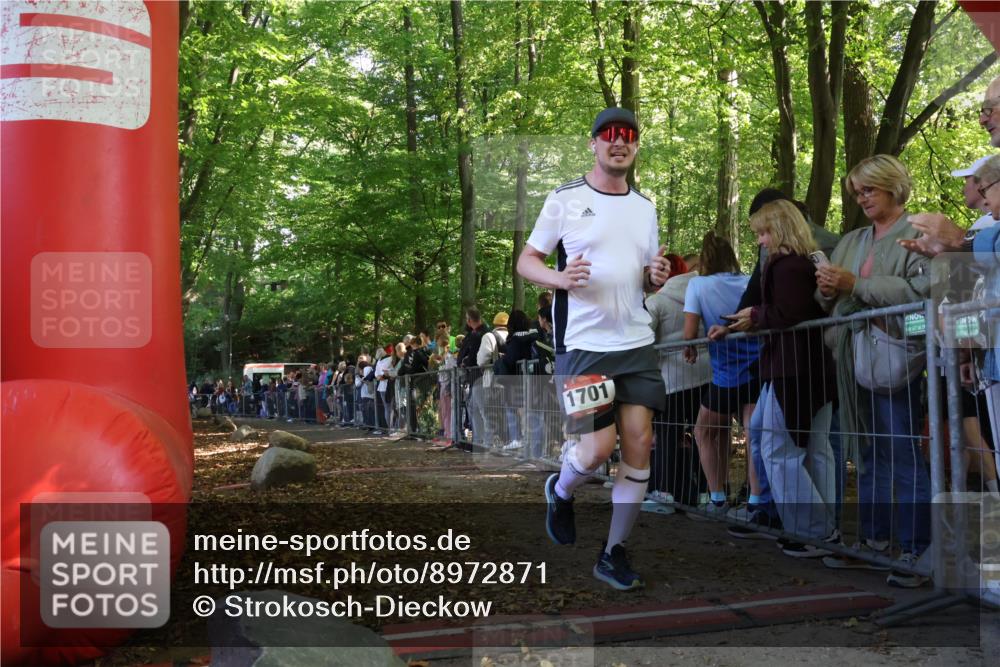 28.09.2025 - 33. Volkslauf durch das schöne Alstertal Strokosch-Dieckow http://msf.ph/oto/8972871 28.09.2025 12:06:18 Ziel 1701 meine-sportfotos.de