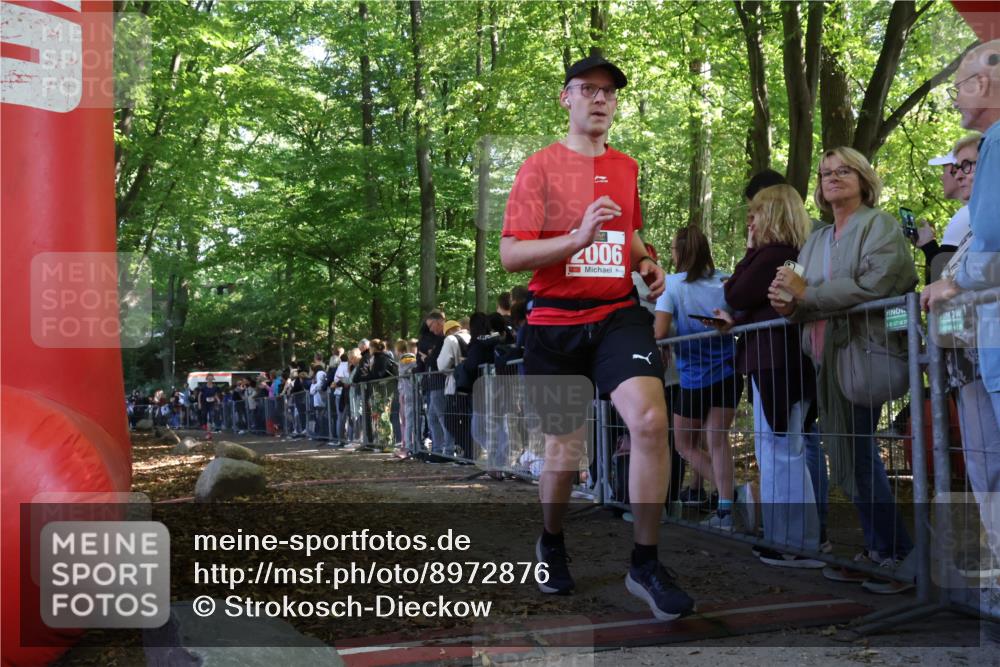 28.09.2025 - 33. Volkslauf durch das schöne Alstertal Strokosch-Dieckow http://msf.ph/oto/8972876 28.09.2025 12:06:37 Ziel 1031, 2006, 2581 meine-sportfotos.de