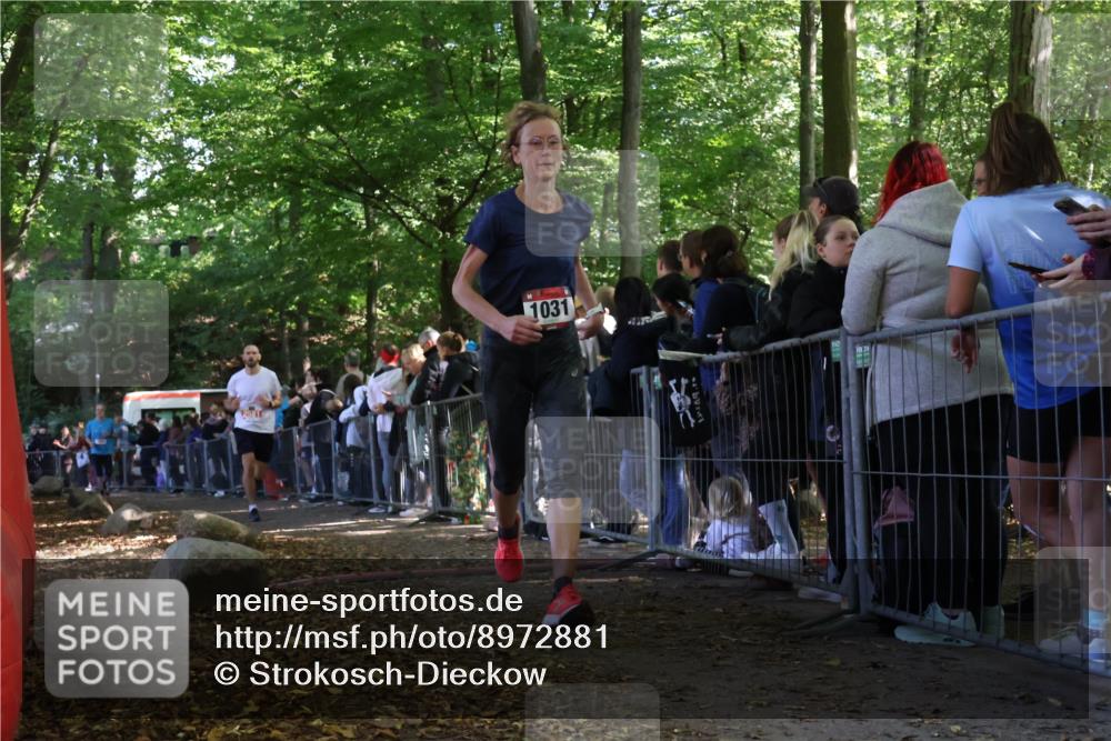 28.09.2025 - 33. Volkslauf durch das schöne Alstertal Strokosch-Dieckow http://msf.ph/oto/8972881 28.09.2025 12:06:43 Ziel 1031, 1654, 2581 meine-sportfotos.de