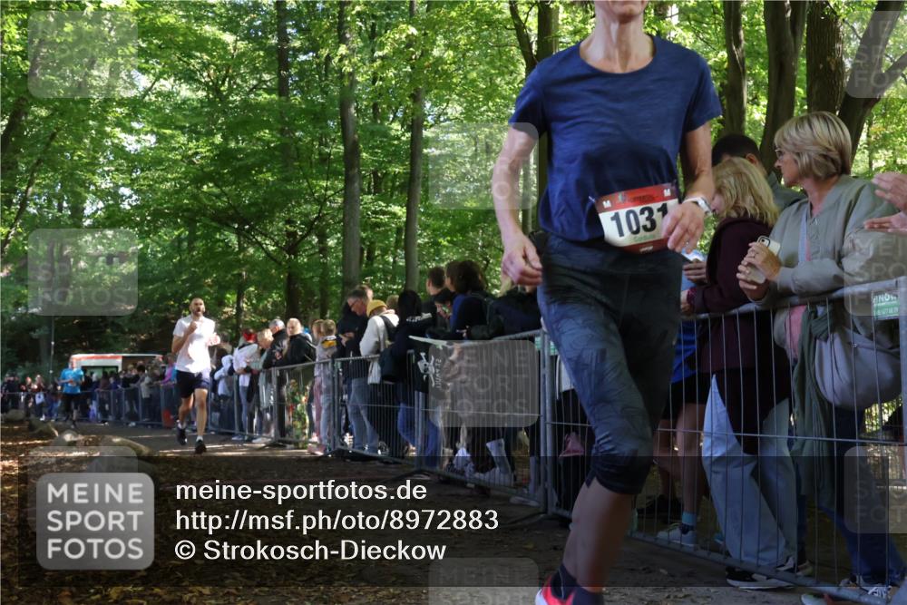 28.09.2025 - 33. Volkslauf durch das schöne Alstertal Strokosch-Dieckow http://msf.ph/oto/8972883 28.09.2025 12:06:44 Ziel 1031, 1654, 2581 meine-sportfotos.de