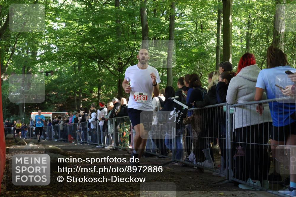 28.09.2025 - 33. Volkslauf durch das schöne Alstertal Strokosch-Dieckow http://msf.ph/oto/8972886 28.09.2025 12:06:46 Ziel 1039, 1654, 2581 meine-sportfotos.de