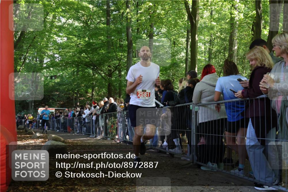 28.09.2025 - 33. Volkslauf durch das schöne Alstertal Strokosch-Dieckow http://msf.ph/oto/8972887 28.09.2025 12:06:46 Ziel 1039, 1654, 2581 meine-sportfotos.de