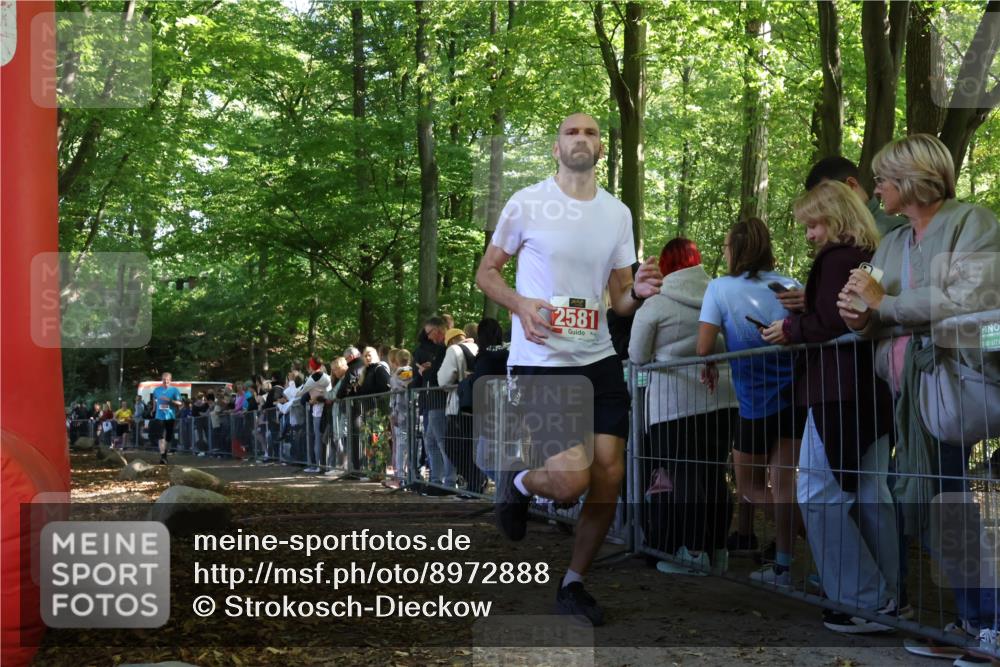28.09.2025 - 33. Volkslauf durch das schöne Alstertal Strokosch-Dieckow http://msf.ph/oto/8972888 28.09.2025 12:06:46 Ziel 1039, 1654, 2581 meine-sportfotos.de