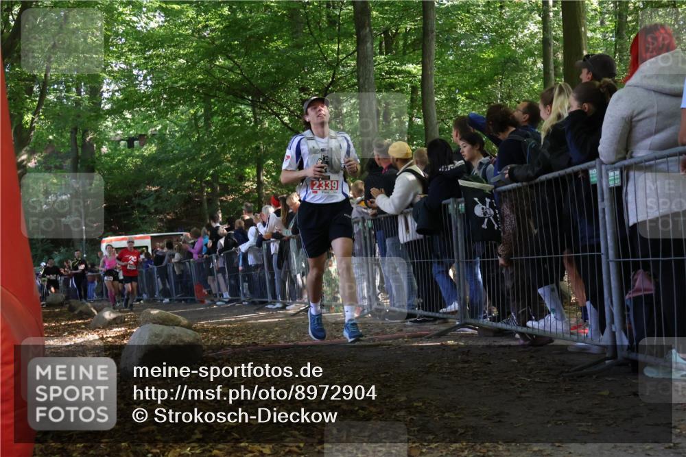 28.09.2025 - 33. Volkslauf durch das schöne Alstertal Strokosch-Dieckow http://msf.ph/oto/8972904 28.09.2025 12:06:59 Ziel 1048, 1674, 1699, 1809, 2339 meine-sportfotos.de