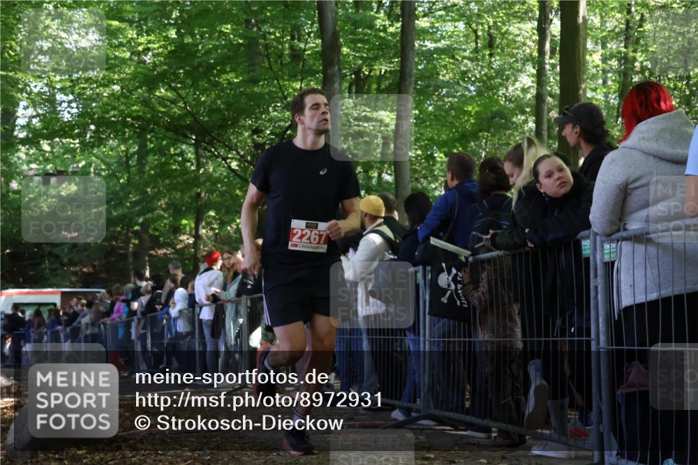 28.09.2025 - 33. Volkslauf durch das schöne Alstertal Strokosch-Dieckow http://msf.ph/oto/8972931 28.09.2025 12:07:28 Ziel 2267 meine-sportfotos.de