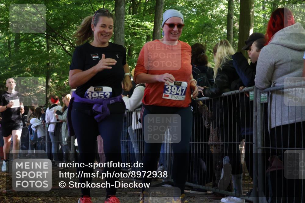 28.09.2025 - 33. Volkslauf durch das schöne Alstertal Strokosch-Dieckow http://msf.ph/oto/8972938 28.09.2025 12:07:43 Ziel 1099, 2062, 2598, 3947, 3953 meine-sportfotos.de