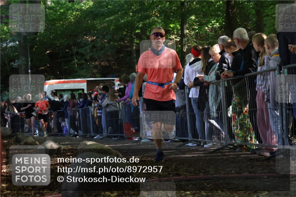 28.09.2025 - 33. Volkslauf durch das schöne Alstertal Strokosch-Dieckow http://msf.ph/oto/8972957 28.09.2025 12:08:03 Ziel 2085, 2086, 2159, 2494 meine-sportfotos.de