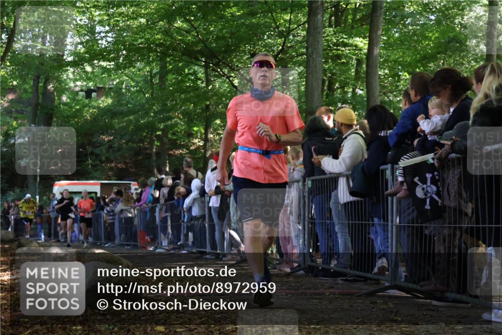 28.09.2025 - 33. Volkslauf durch das schöne Alstertal Strokosch-Dieckow http://msf.ph/oto/8972959 28.09.2025 12:08:05 Ziel 2085, 2086, 2159, 2494 meine-sportfotos.de