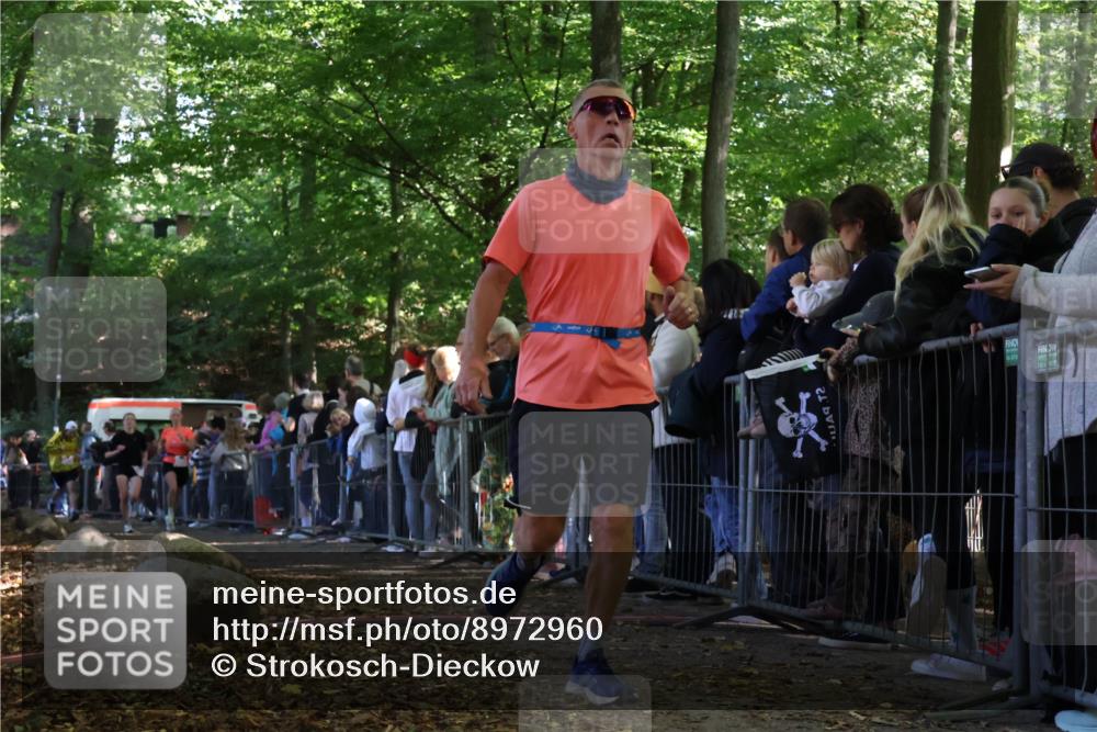 28.09.2025 - 33. Volkslauf durch das schöne Alstertal Strokosch-Dieckow http://msf.ph/oto/8972960 28.09.2025 12:08:05 Ziel 2085, 2086, 2159, 2494 meine-sportfotos.de