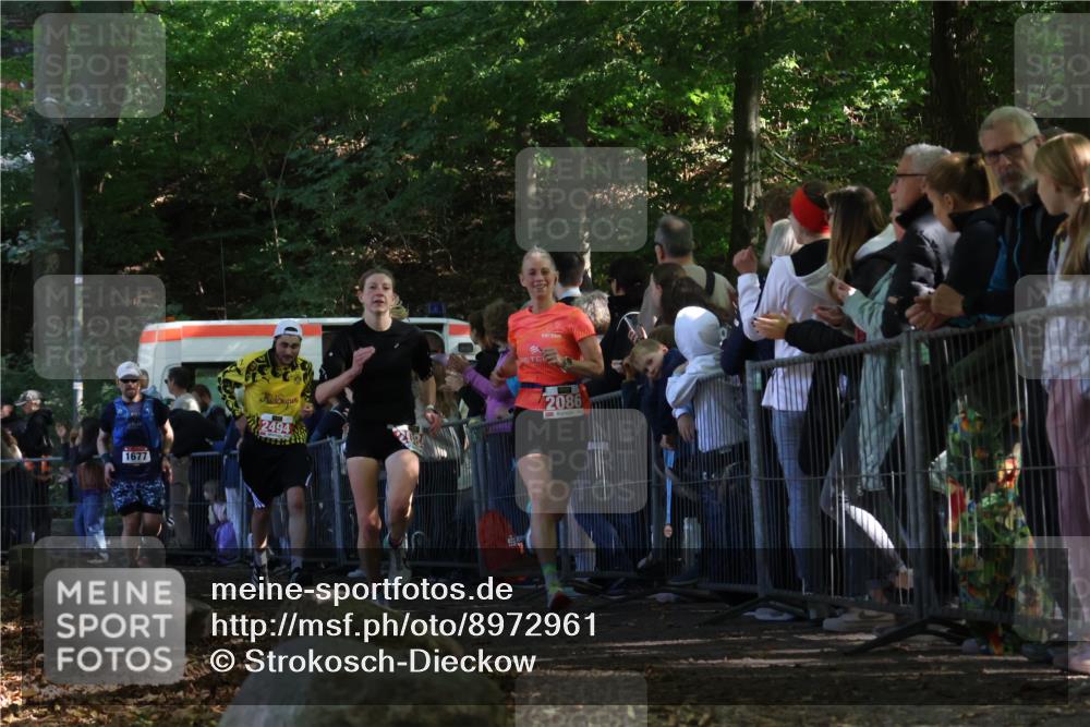 28.09.2025 - 33. Volkslauf durch das schöne Alstertal Strokosch-Dieckow http://msf.ph/oto/8972961 28.09.2025 12:08:07 Ziel 1677, 2085, 2086, 2494 meine-sportfotos.de