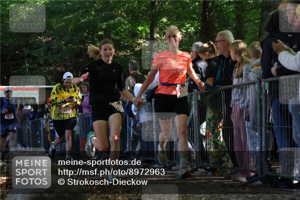 28.09.2025 - 33. Volkslauf durch das schöne Alstertal Strokosch-Dieckow http://msf.ph/oto/8972963 28.09.2025 12:08:09 Ziel 1677, 2085, 2086, 2429, 2494 meine-sportfotos.de