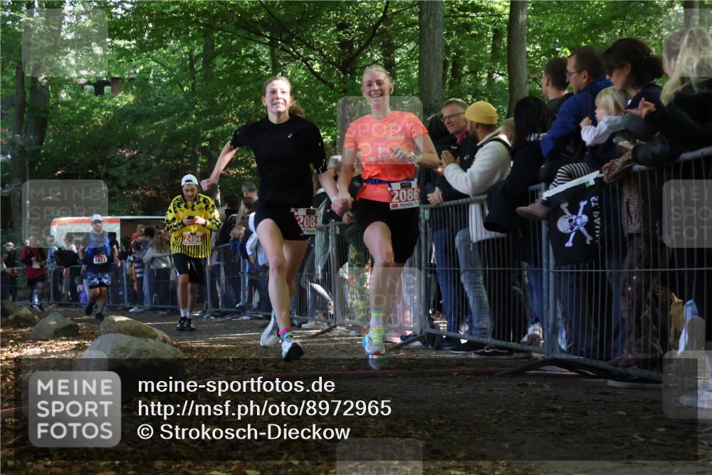 28.09.2025 - 33. Volkslauf durch das schöne Alstertal Strokosch-Dieckow http://msf.ph/oto/8972965 28.09.2025 12:08:09 Ziel 1677, 2085, 2086, 2429, 2494 meine-sportfotos.de