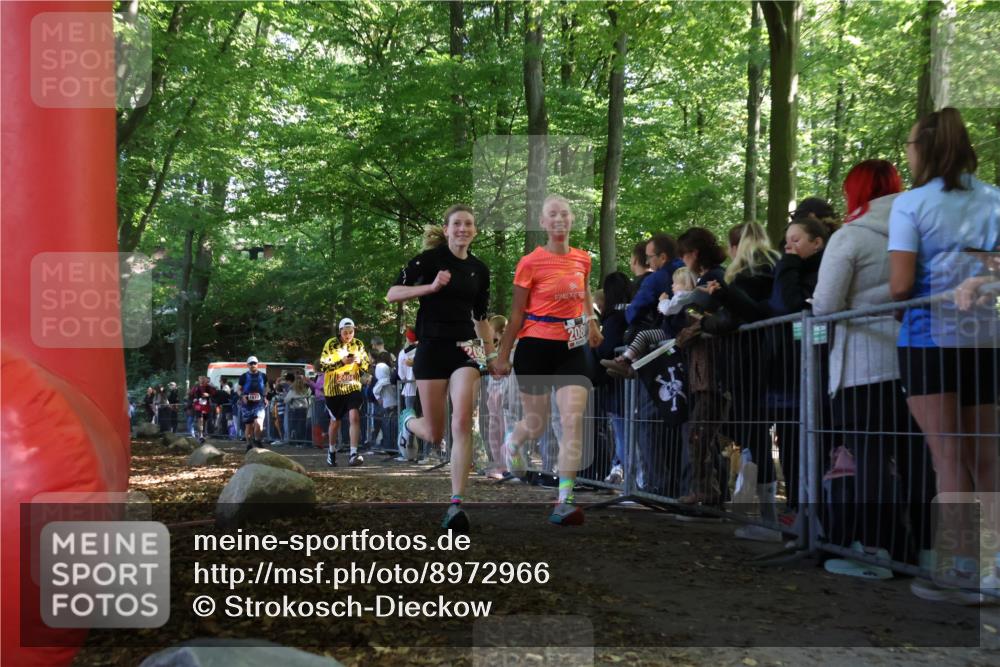 28.09.2025 - 33. Volkslauf durch das schöne Alstertal Strokosch-Dieckow http://msf.ph/oto/8972966 28.09.2025 12:08:10 Ziel 1677, 2085, 2086, 2429, 2494 meine-sportfotos.de