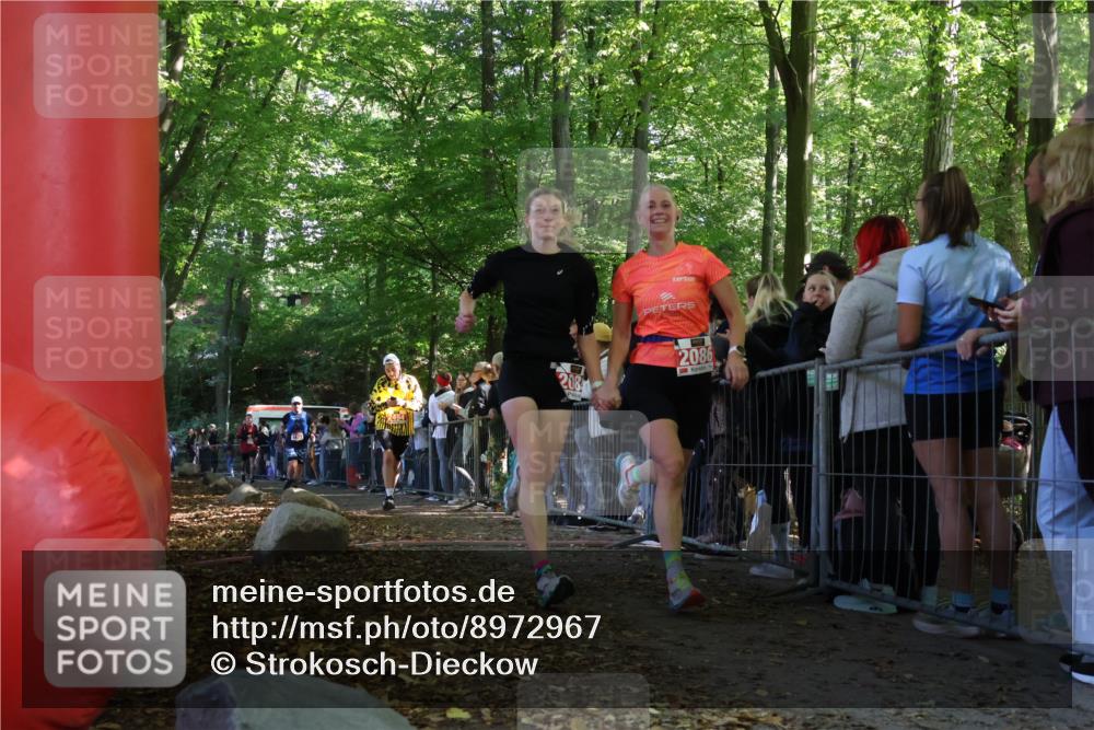 28.09.2025 - 33. Volkslauf durch das schöne Alstertal Strokosch-Dieckow http://msf.ph/oto/8972967 28.09.2025 12:08:10 Ziel 1677, 2085, 2086, 2429, 2494 meine-sportfotos.de