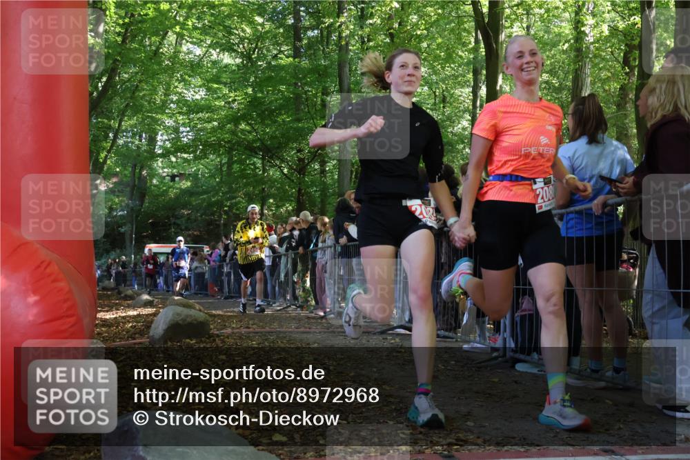 28.09.2025 - 33. Volkslauf durch das schöne Alstertal Strokosch-Dieckow http://msf.ph/oto/8972968 28.09.2025 12:08:11 Ziel 1677, 2085, 2086, 2429, 2494 meine-sportfotos.de