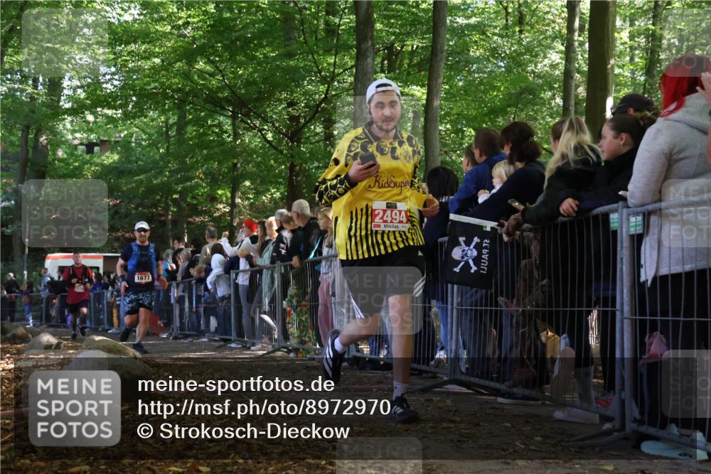 28.09.2025 - 33. Volkslauf durch das schöne Alstertal Strokosch-Dieckow http://msf.ph/oto/8972970 28.09.2025 12:08:12 Ziel 1677, 2429, 2494 meine-sportfotos.de