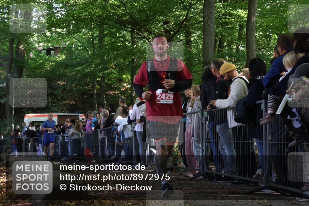 28.09.2025 - 33. Volkslauf durch das schöne Alstertal Strokosch-Dieckow http://msf.ph/oto/8972975 28.09.2025 12:08:17 Ziel 1684, 1702, 2429 meine-sportfotos.de